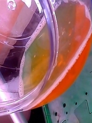 Japanese Piss Fetish Porn - SO MANY WAYS TO GO